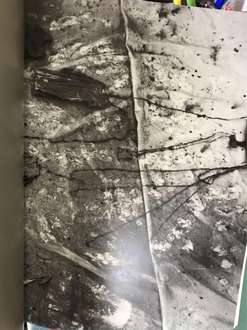 Anselm Kiefer 作品集　1993