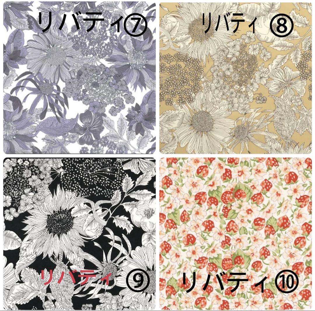 lilyページボリード27サイズドーム型バッグインバッグ