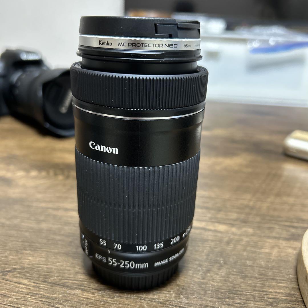 canon カメラレンズ EF-S 55-250mm 4-5.6 IS STM