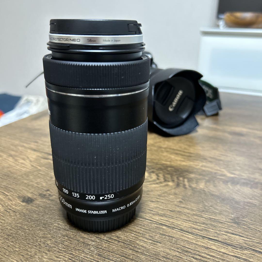 canon カメラレンズ EF-S 55-250mm 4-5.6 IS STM