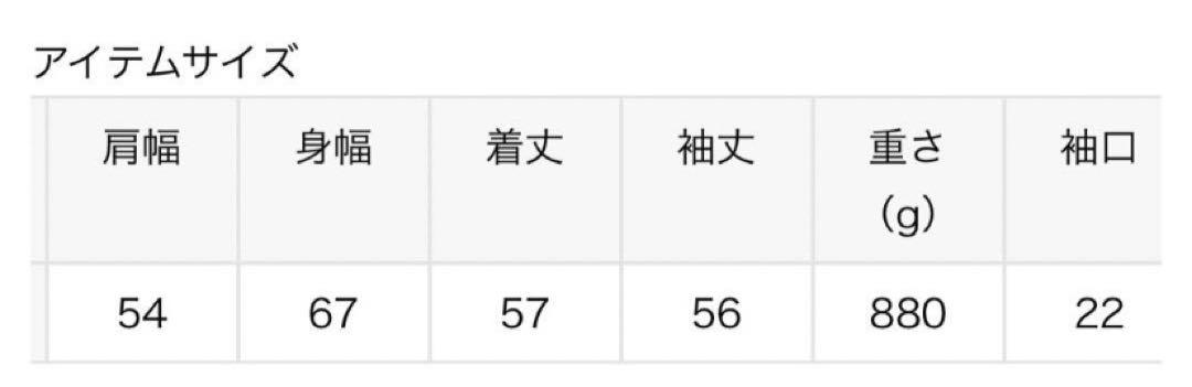【本日のみ値下げ】BACON NEW CLOUD GDA TAUPE ダウン