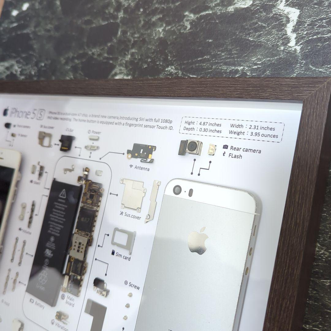iPhone5S 標本アート シルバー - メルカリ