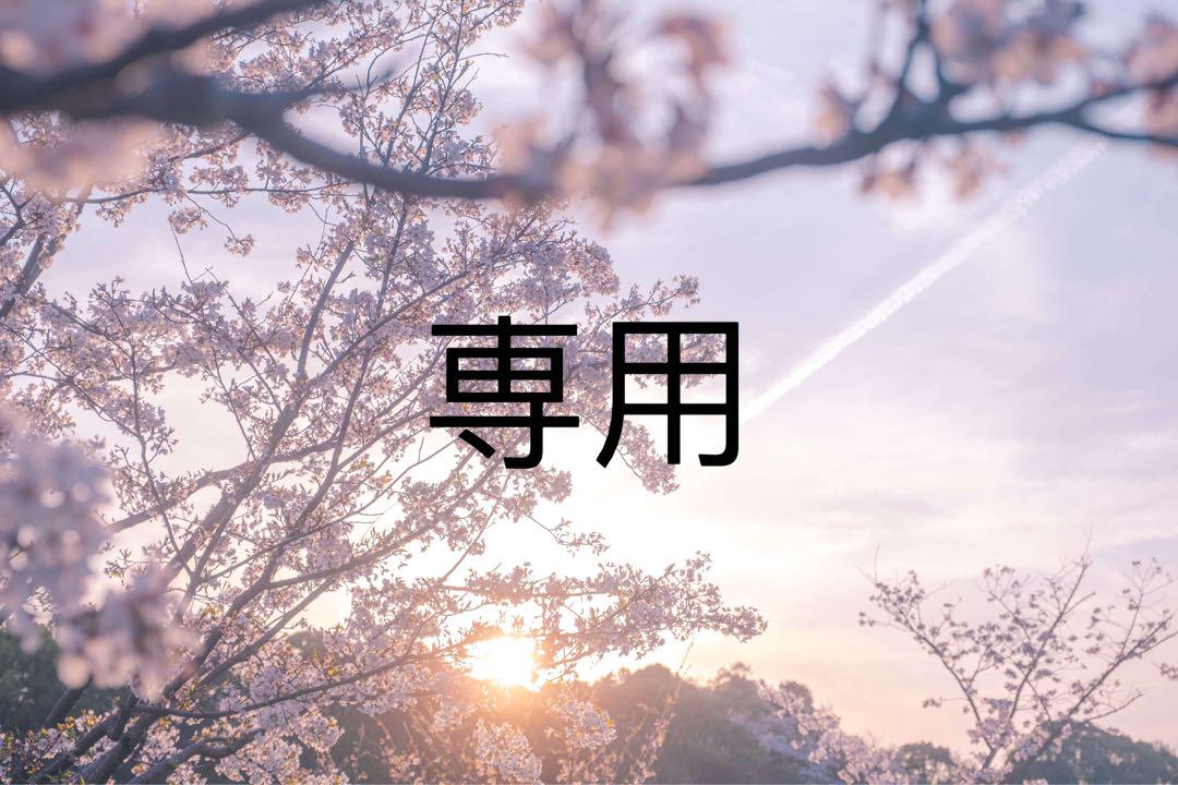 ＊ゆーらん＊様専用