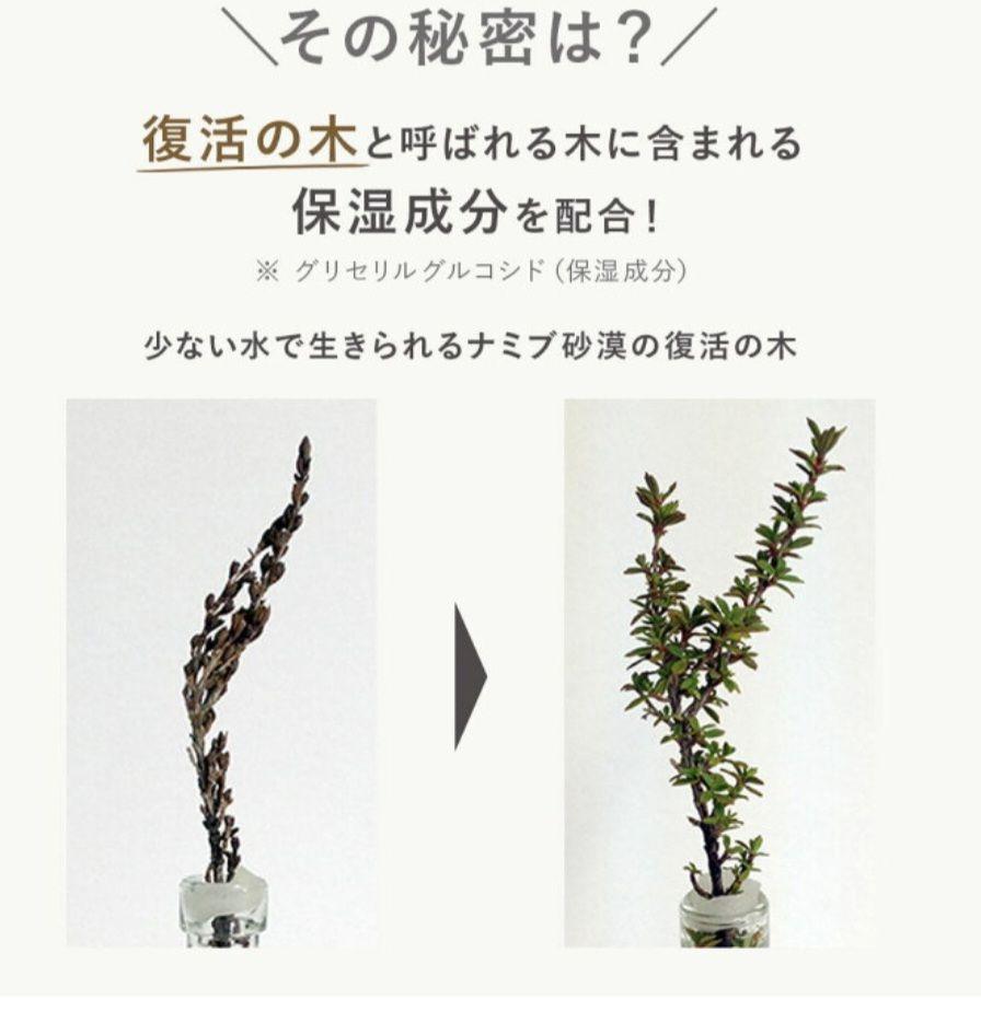新品/未使用【エヌオーガニック モイスチュア&バランシング ローション セラム】