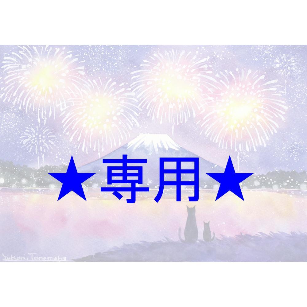 Nさま専用（原画）富士山と花火【A5サイズ／水彩画／#2452】