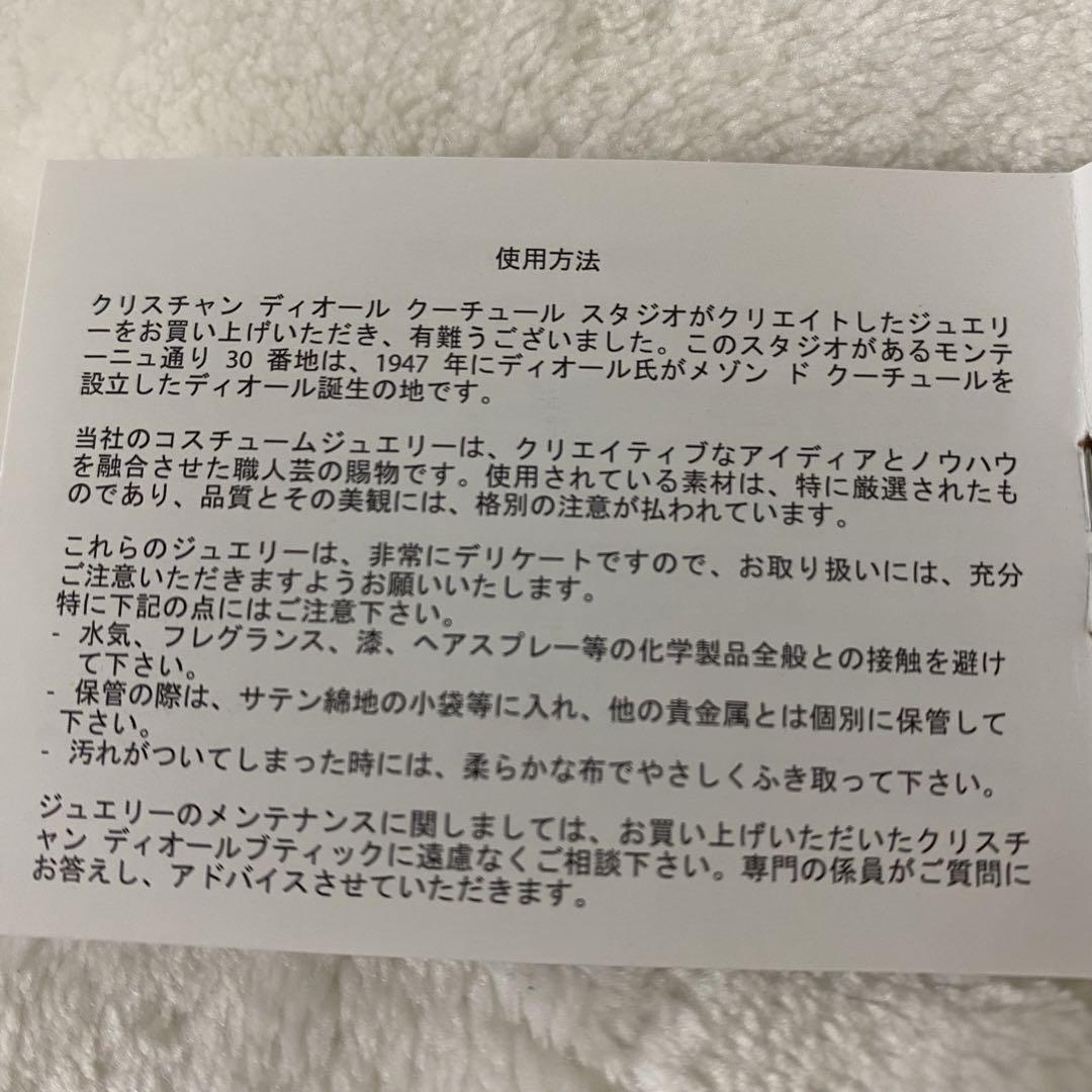 ディオール バタフライ 蝶々 ストーン ピアス　ディオールロゴ