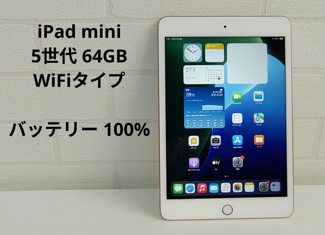 バッテリー100%【iPad mini 5世代 WiFi 64GB】