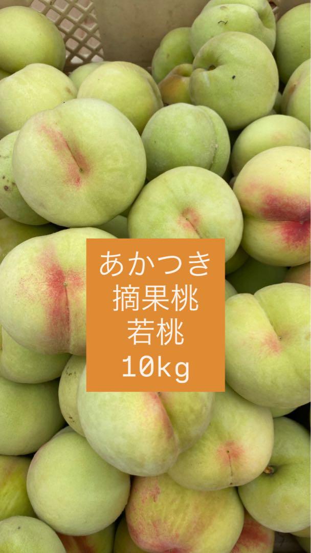 あかつき 摘果桃 加工用 カリカリ 10kg