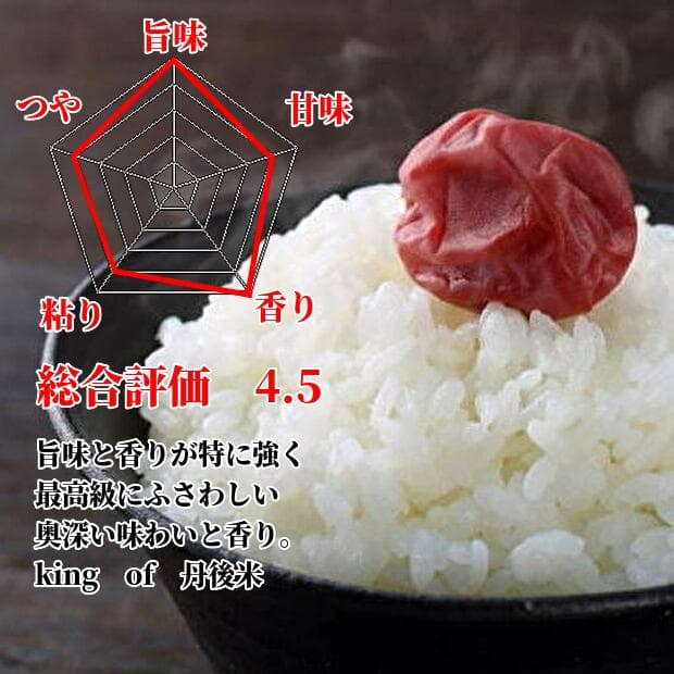 B【低農薬/有機肥料】新米!自然農法で安心安全のお米!丹後の