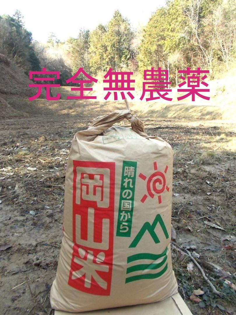 ■令和６年　コシヒカリ 白米 1０キロ　標準米 完全無農薬　天日干し　岡山県