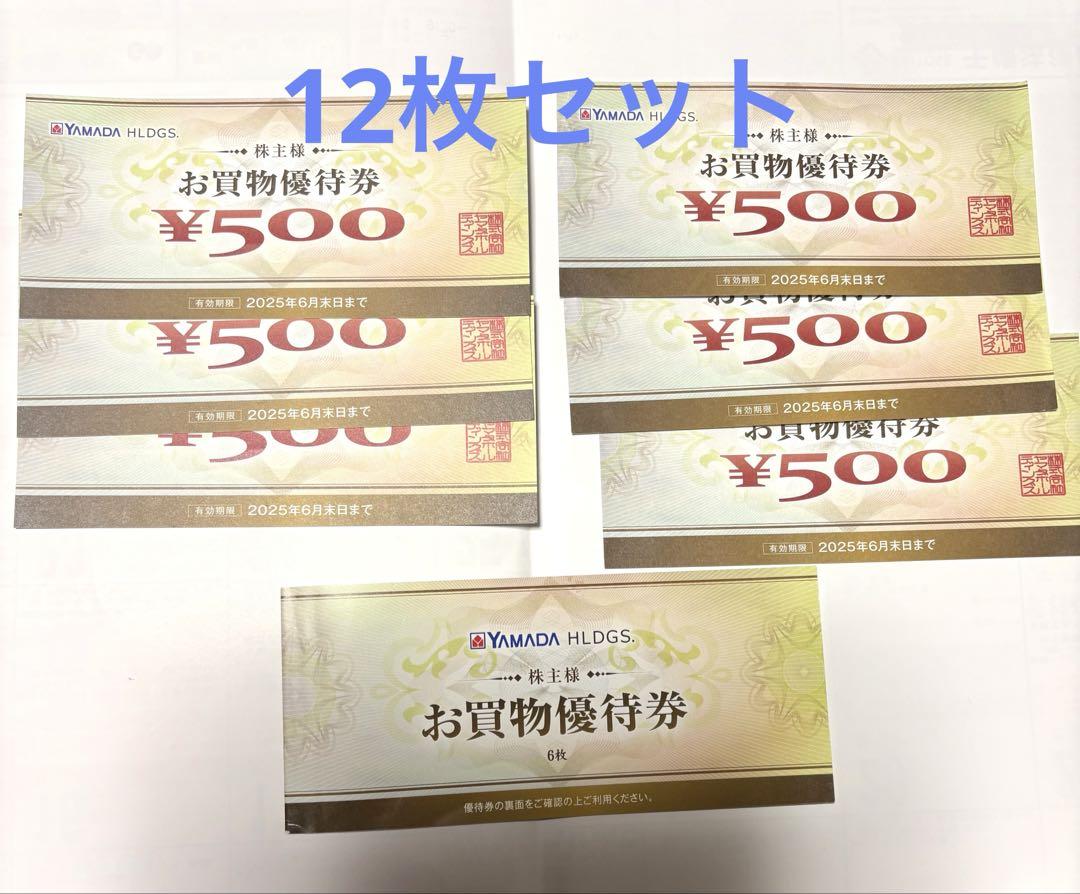 ヤマダ電機 お買物優待券 12枚 6000円分