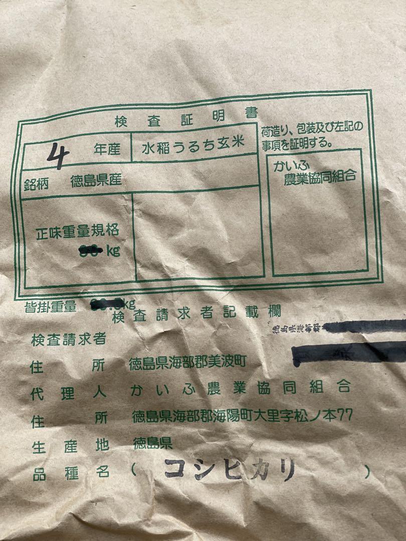 こしひかり　米　お米　玄米　10kg コシヒカリ