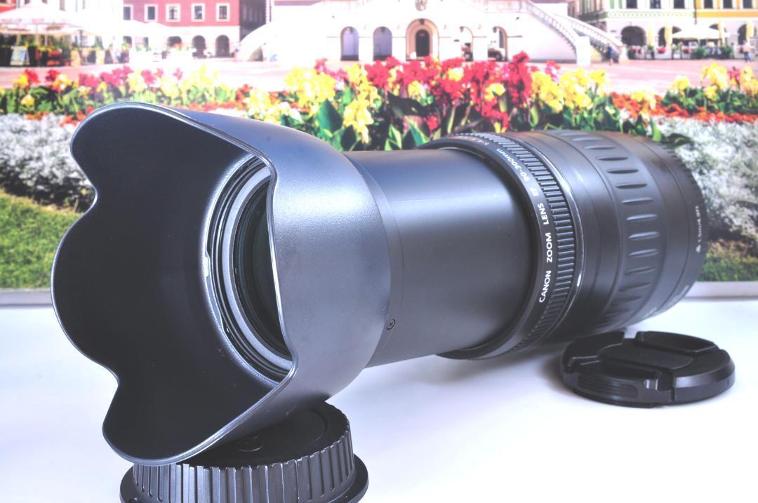 想い出の一枚を！Canon キヤノン 望遠レンズ EF90-300mm #6 想い出の一枚を！Canon キヤノン 望遠レンズ EF90-300mm #6