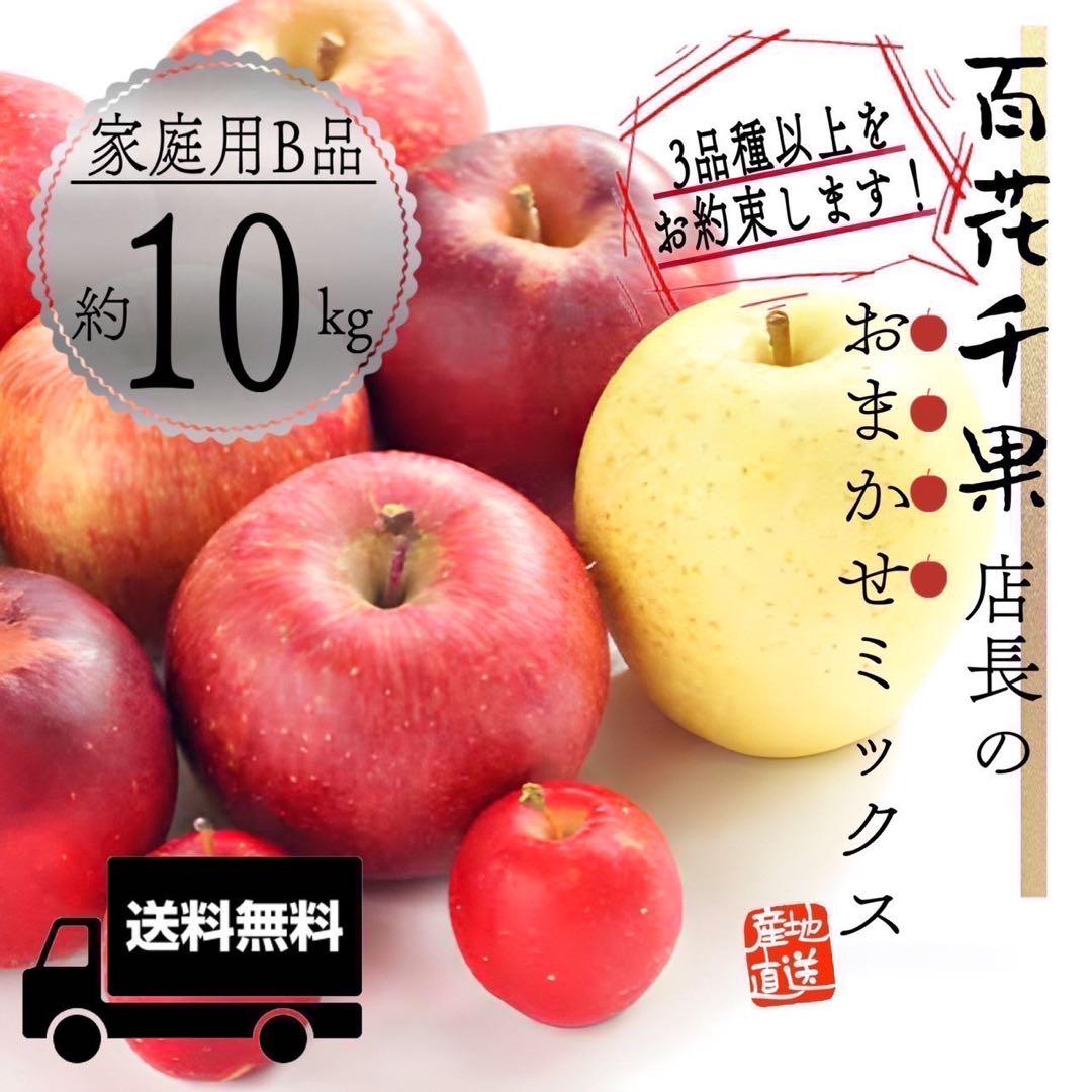 ＂店長おまかせミックス＂ 【 青森県産 家庭用 りんご 10kg 】 産地直送