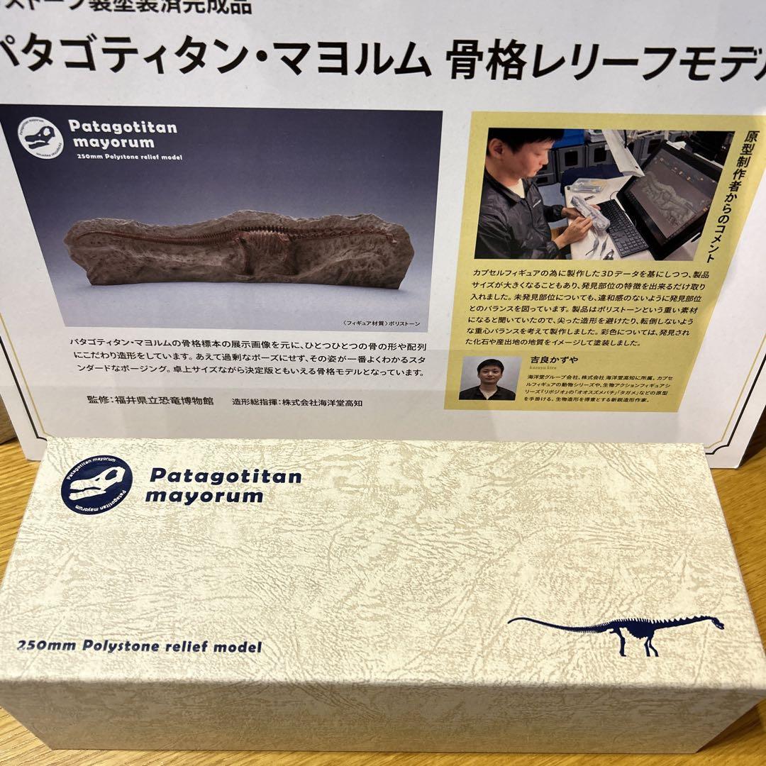 【こばこば様専用】パタゴティタン・マヨルム 骨格レリーフモデル(海洋堂)