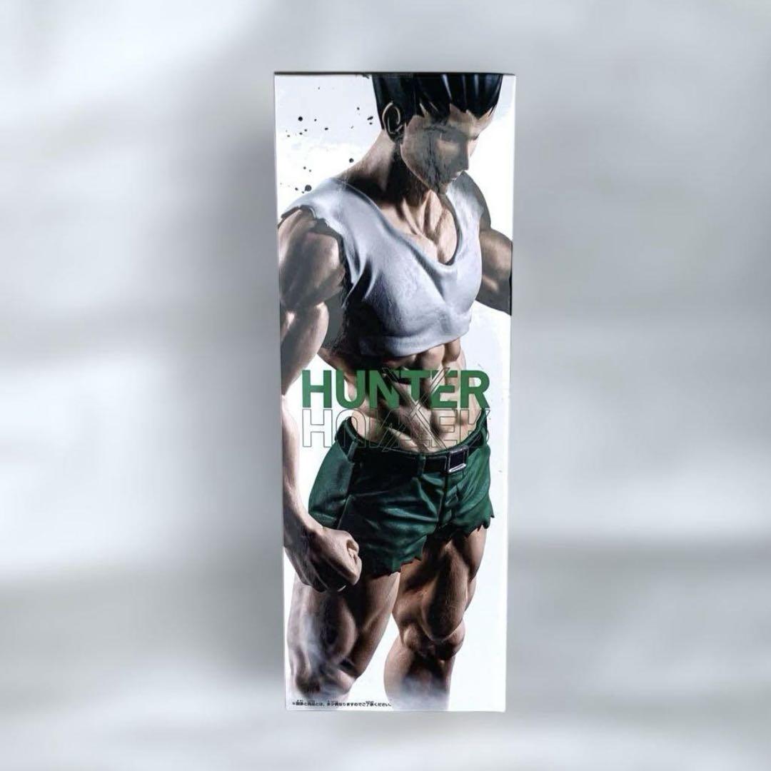HUNTER × HUNTER ゴンさん フィギュア ボールペン フィグライフ Amazon.co.jp: ゴン フィギュア フィグライフ! ゴン-ありったけ