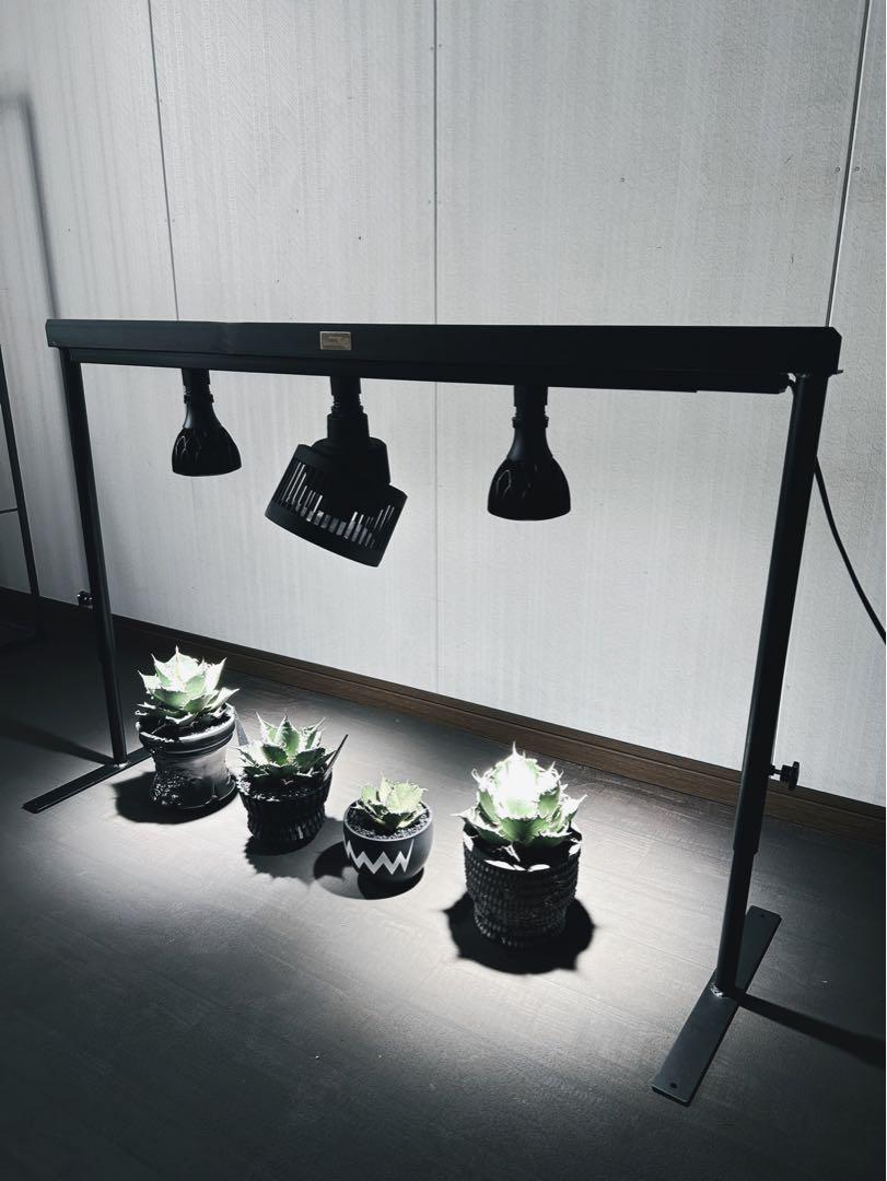 ☆送料込み☆ライトレールスタンド0.5m 即購入OK 植物育成　アガベ　塊根