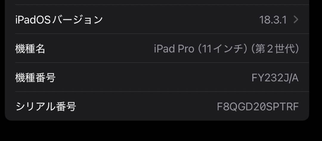 iPad Pro第2世代11インチ　128GB スペースグレー　Wi-Fiモデル
