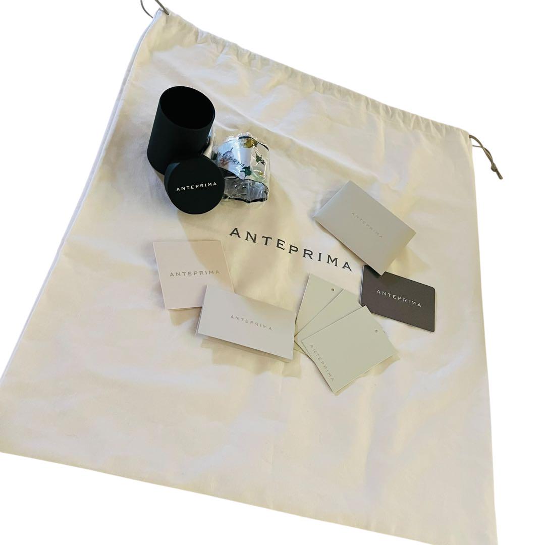 ANTEPRIMA 超希少 極美品 ハンドバッグ 保存袋 ワイヤーバッグ