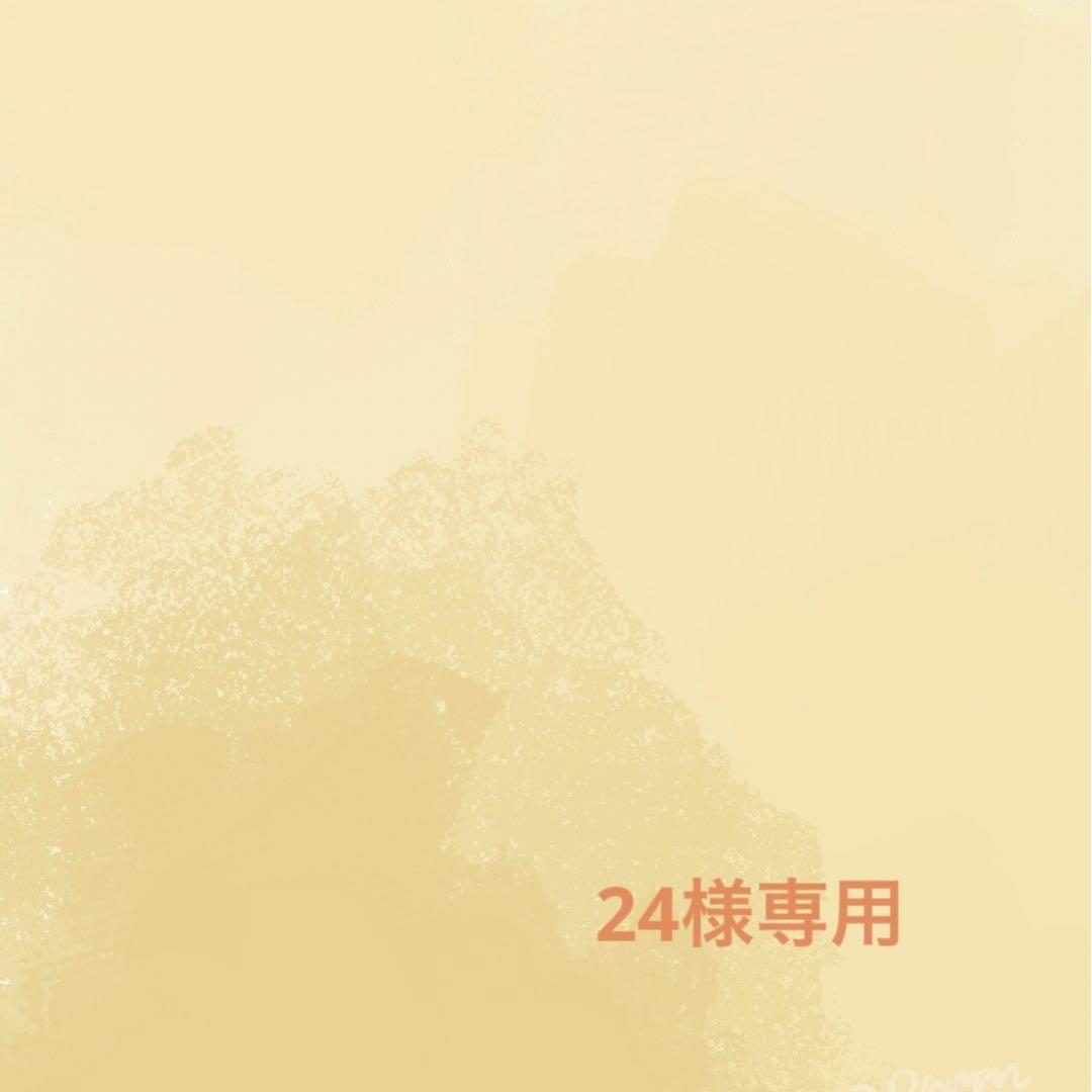 24　ネイビー