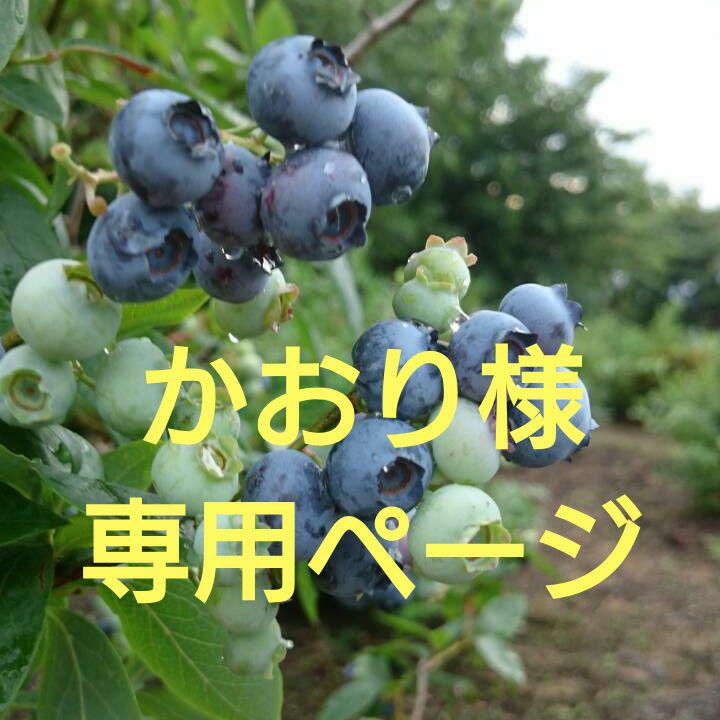 かおり様★専用ページ