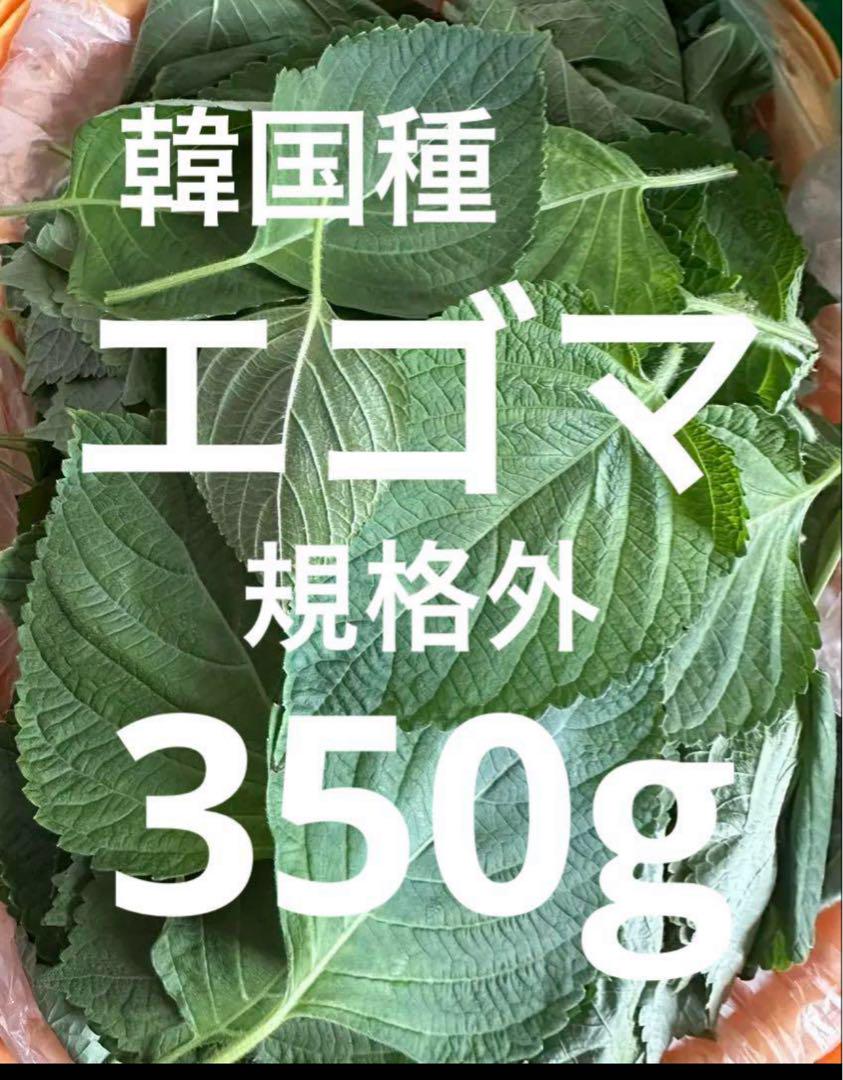 f2709de155e067f6b41d54f2c6b69b