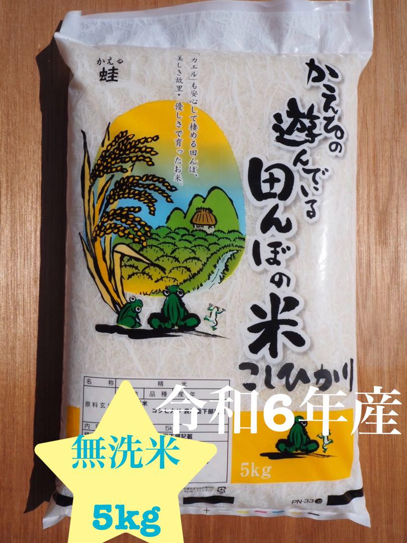 千葉県産　コシヒカリ　無洗米　5kg