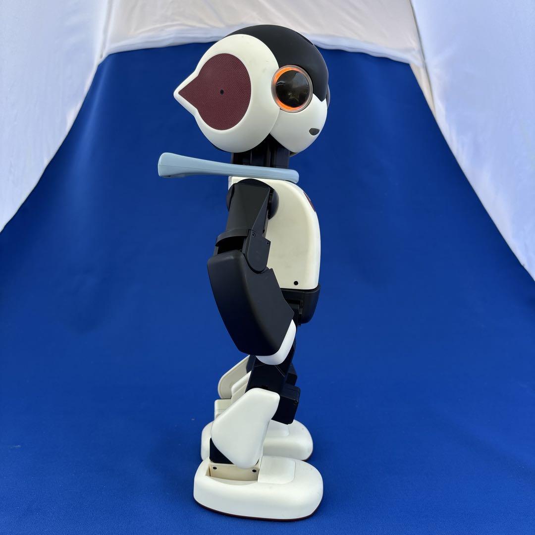 ロボットフィギュア Robi 約30cm 黒白