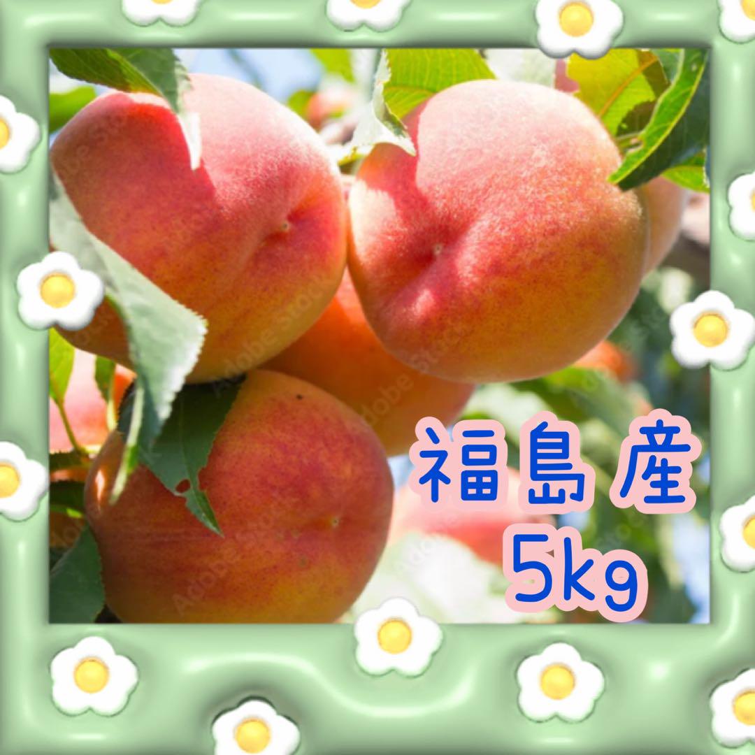 福島産 桃 5kg \