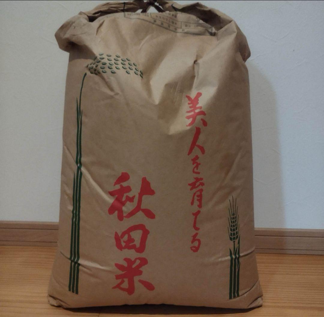 秋田県産 令和6年産 あきたこまち 5kg