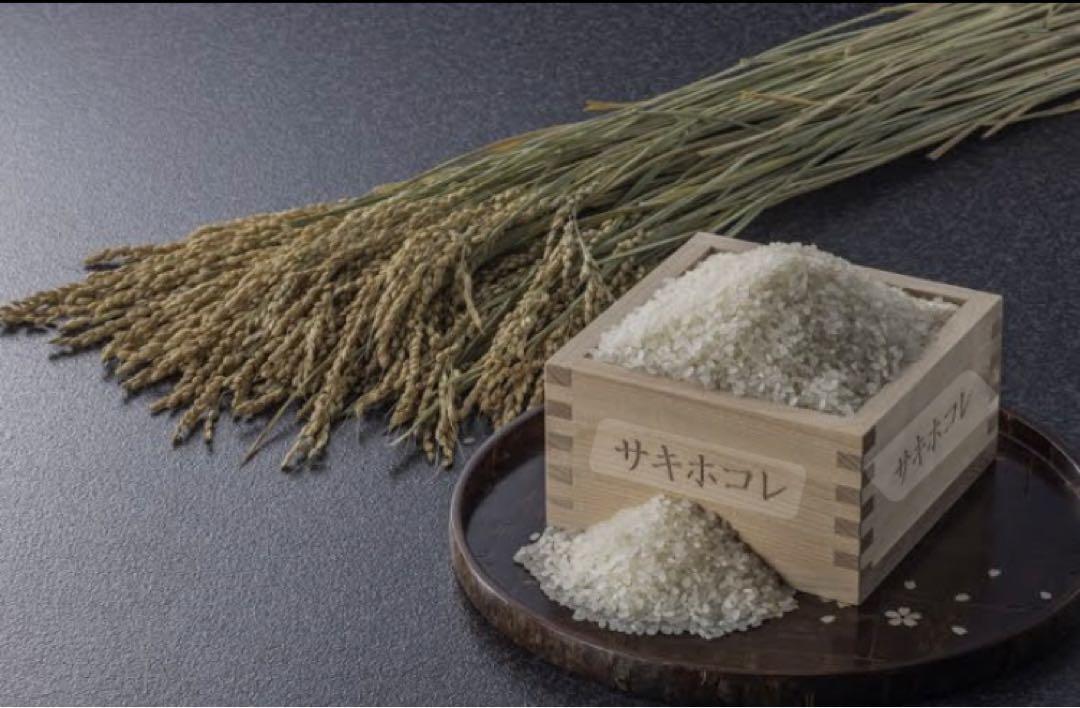 令和6年産 秋田県ブランド米 特別栽培米 サキホコレ 精米 10kg