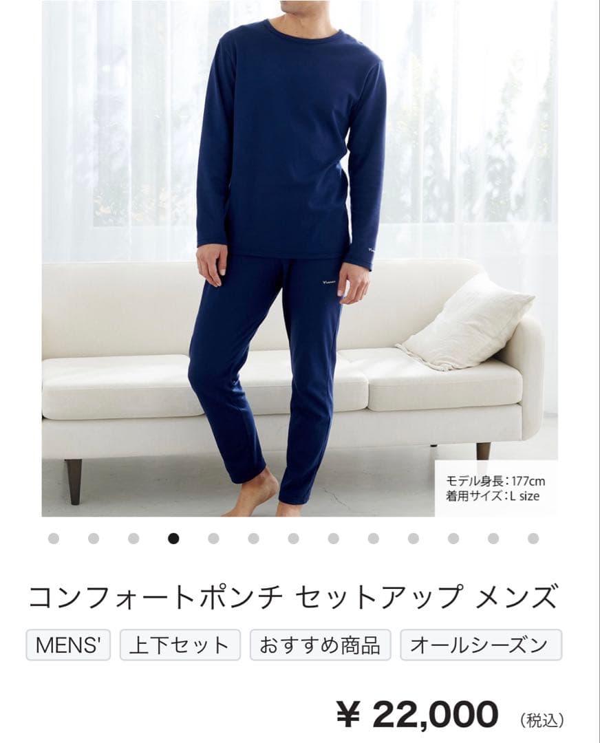 セットアップ メンズM・VENEX