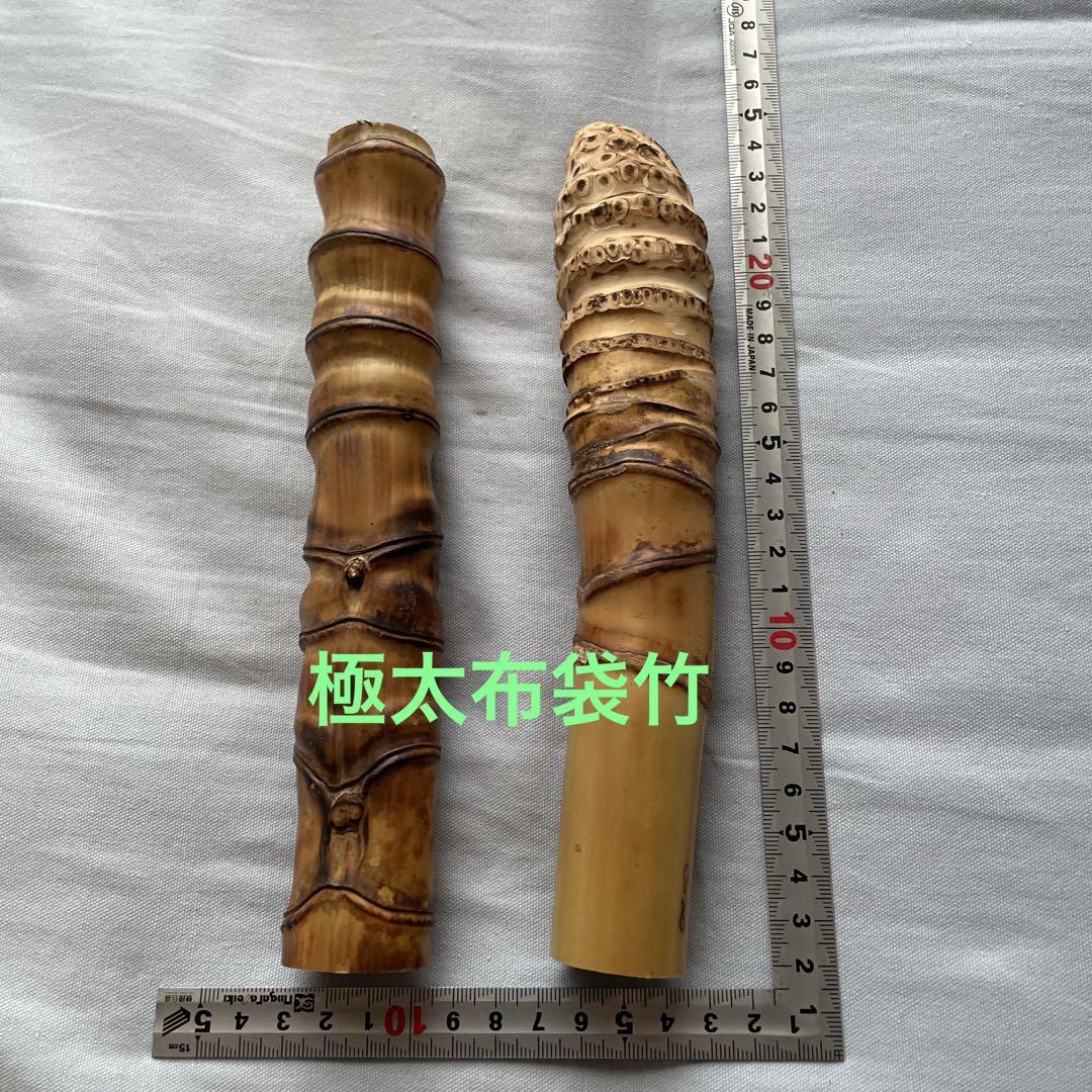 天然　布袋竹　工作材B 釣竿用製作竹材”極布袋竹1200-24.8-13.5mm【商品番号shf-l/143