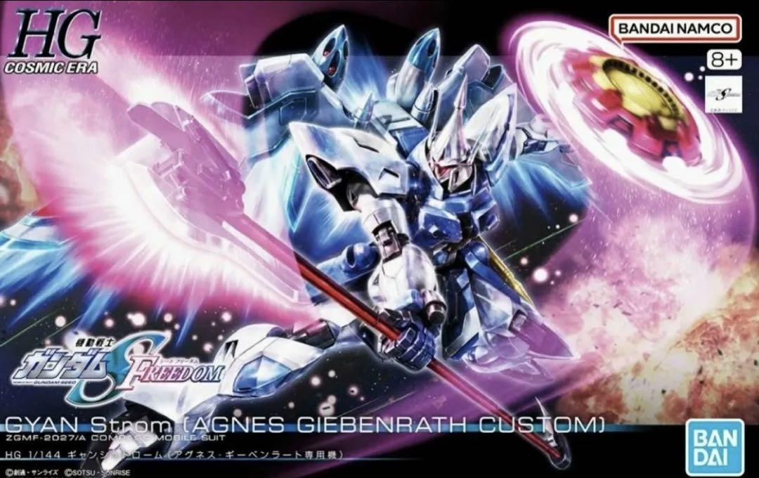 MG デスティニーガンダム（ハイネ専用）