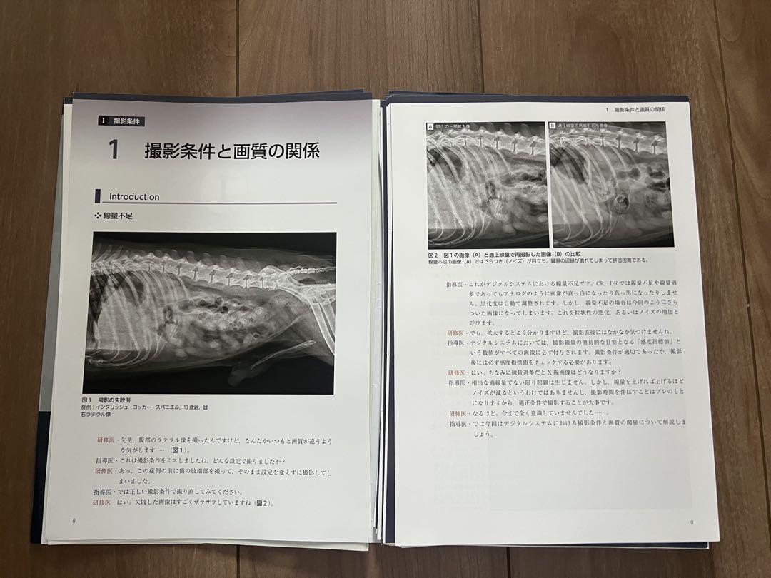 裁断済み‼️スキャナーが必要です‼️犬と猫のX線読影 思考プロセスを習得する犬と猫のX線読影 | 坂大 智洋, 上月 遥香