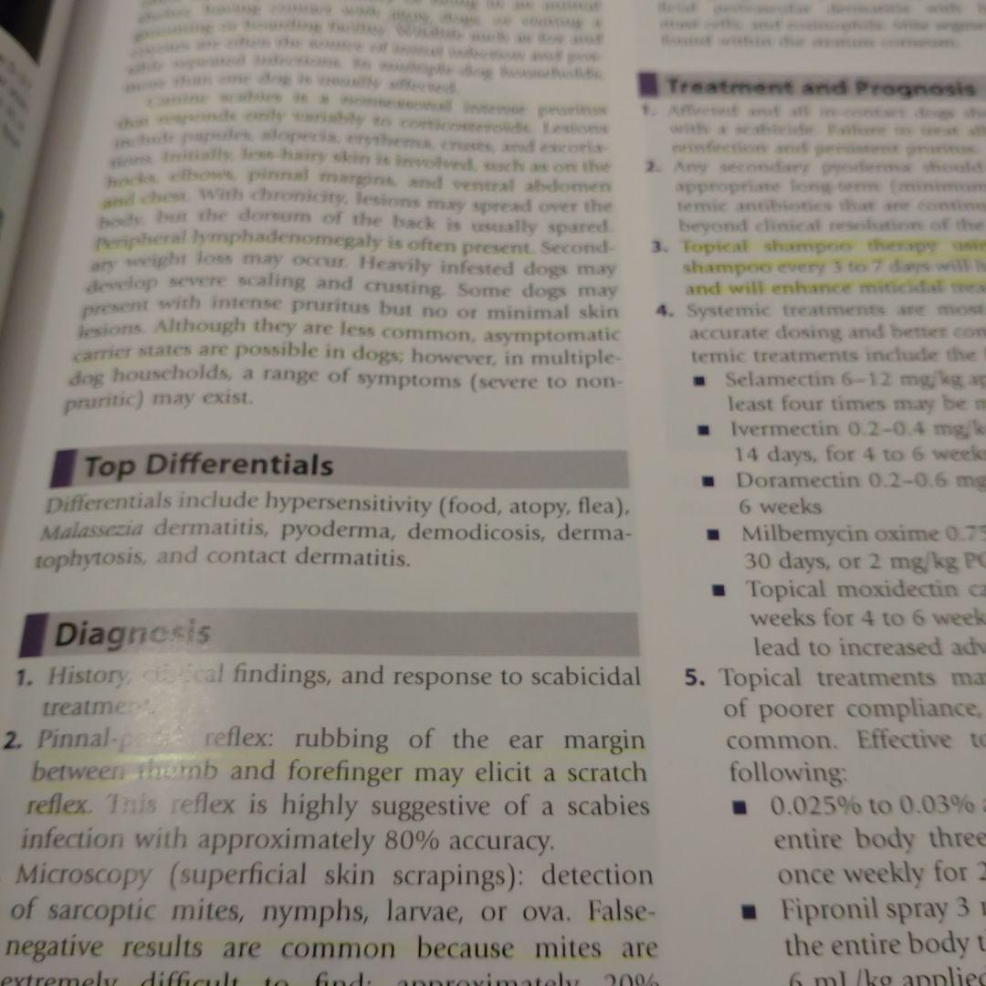 洋書 Small Animal Dermatology 3rd Edition