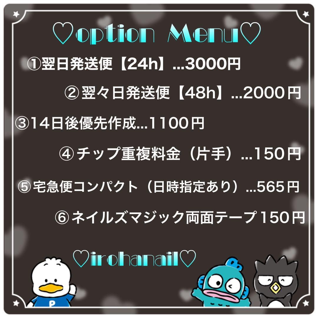 若葉★ネイルチップ★【2セットオーダー】【測定用チップ】