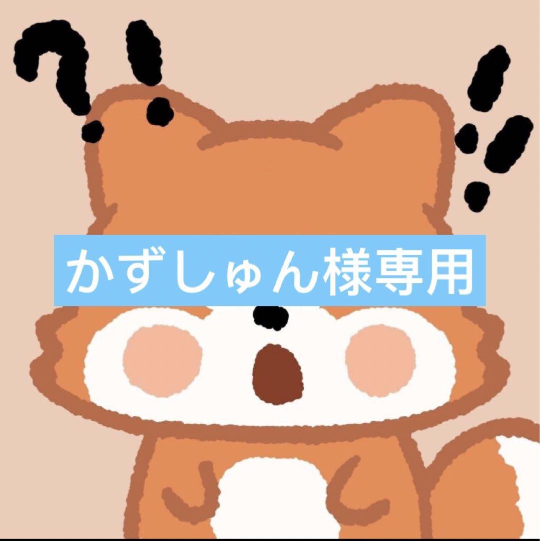 限定販売店舗 かずしゅん様専用 | nbta.pl