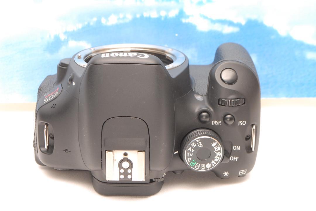 ✨美品・箱有✨キヤノン EOS Kiss X5 手振れ補正 レンズ 初心者セット