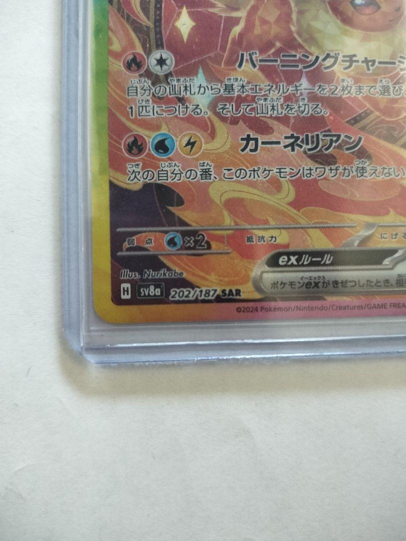 ポケモンカード イーブイ進化系セット