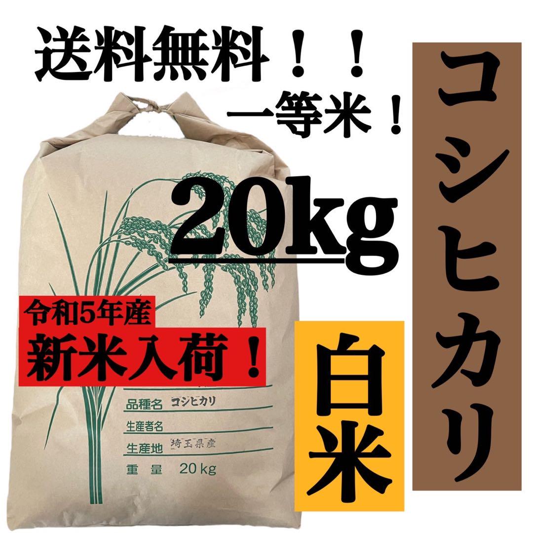 白米　20kg コシヒカリ　新米　埼玉県産　令和5年産　送料無料　米　20キロ