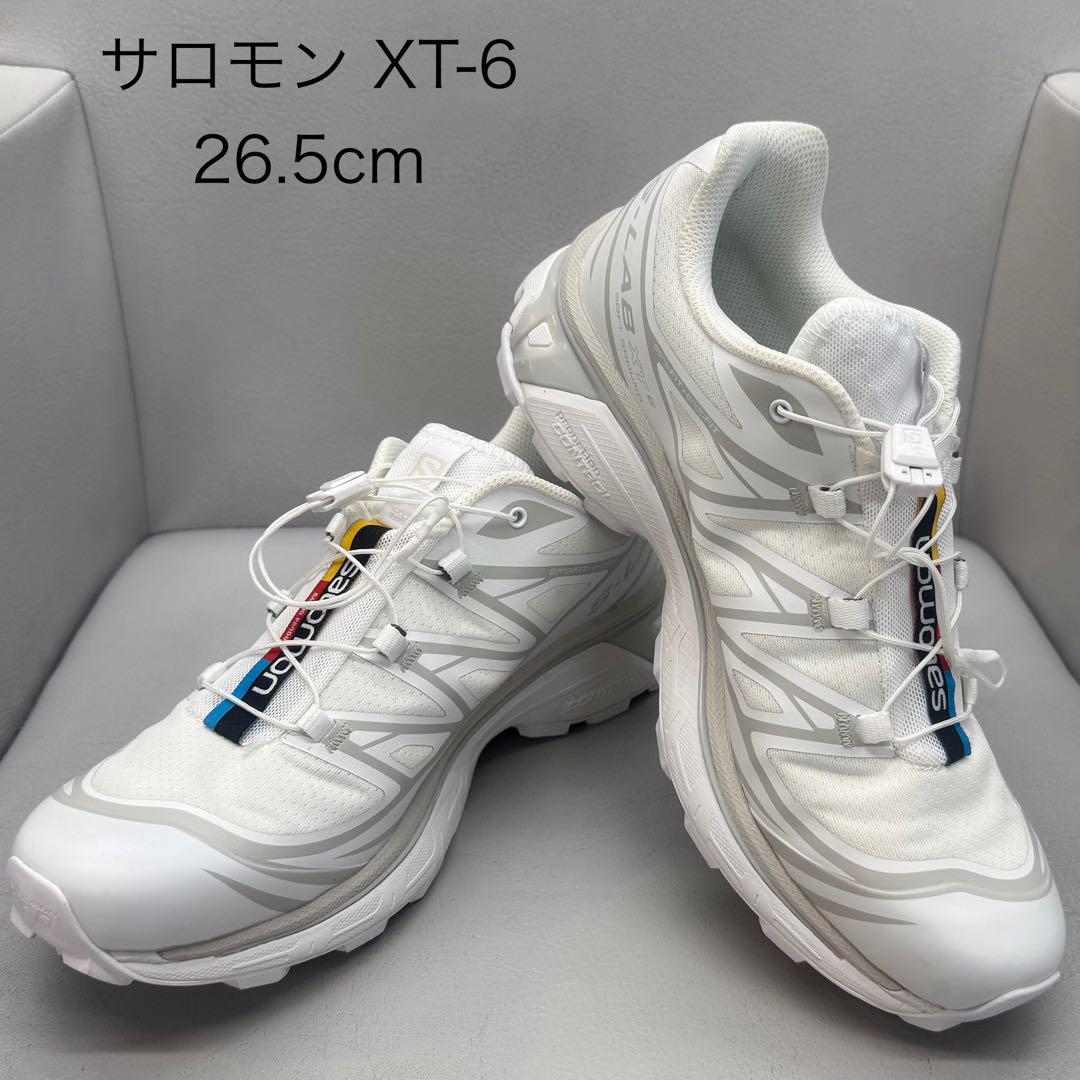 サロモン　XT-6 26.5cm