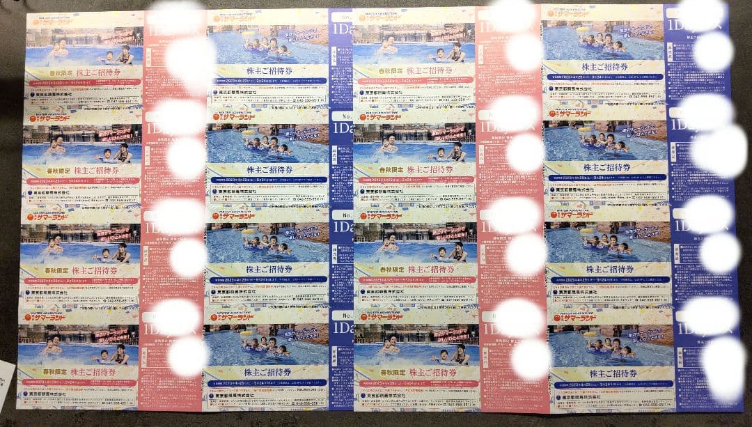 高質で安価 東京都競馬 株主優待券 遊園地/テーマパーク