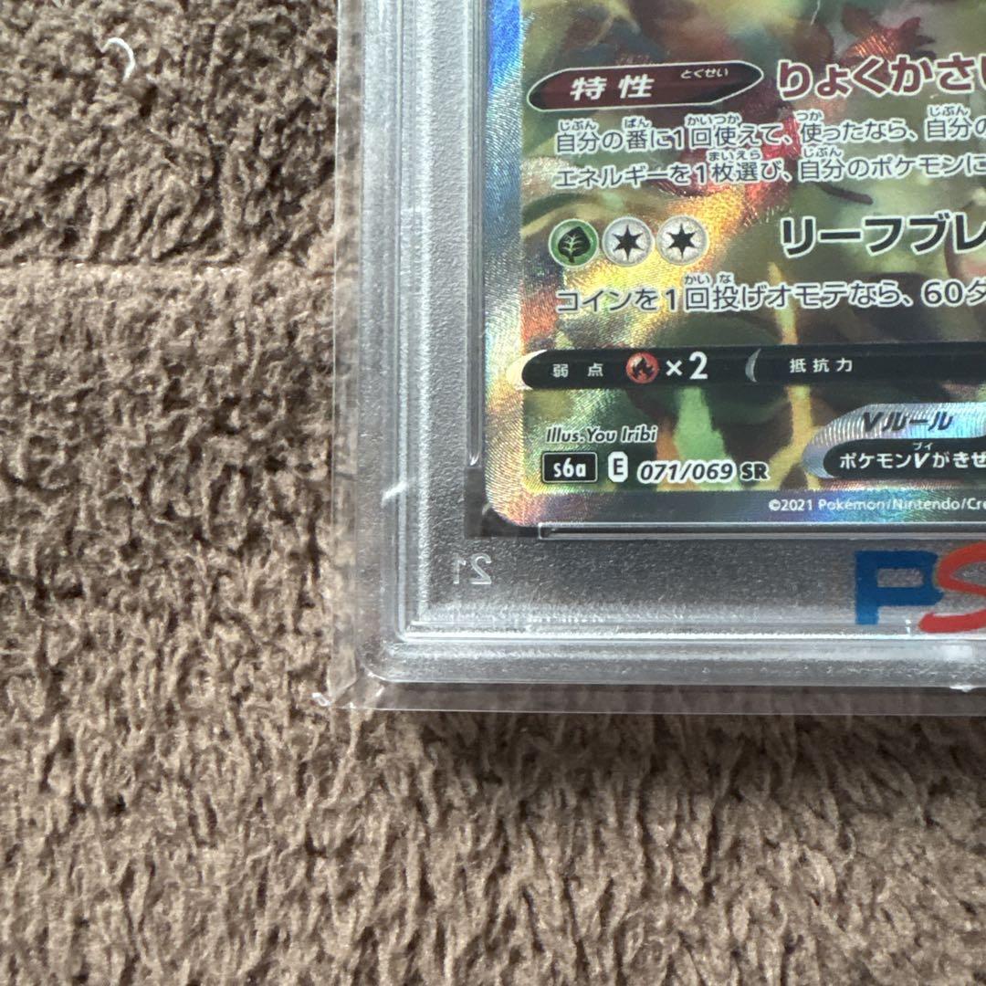 リーフィアV PSA
