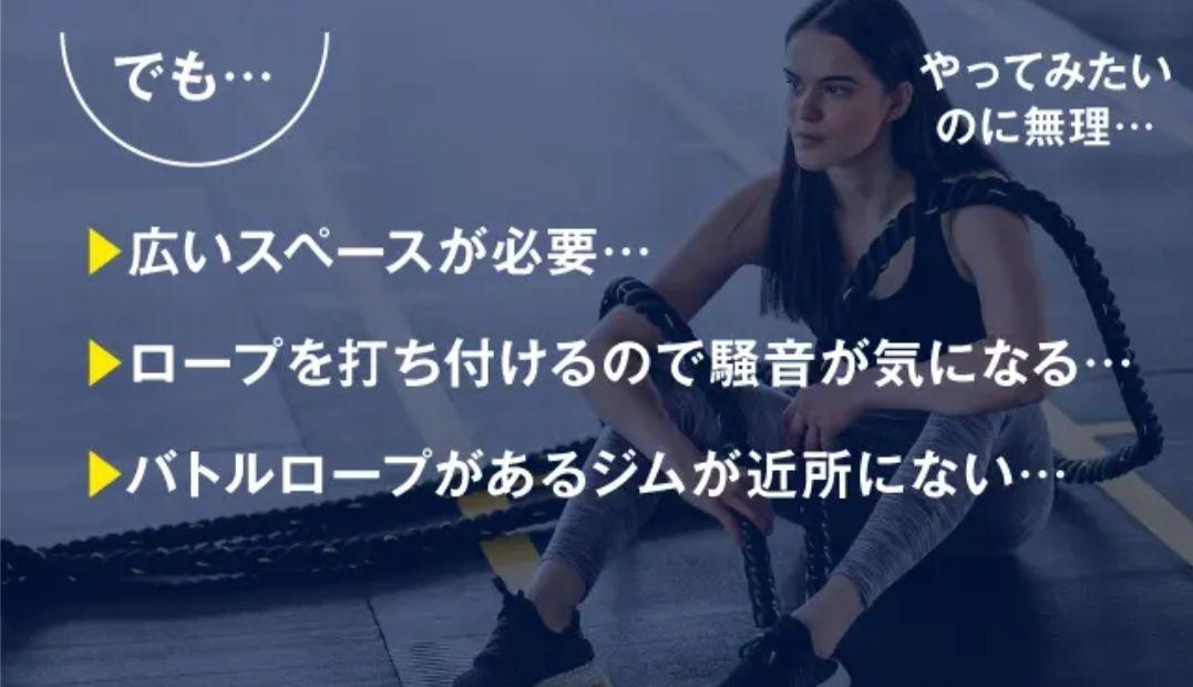持って振るだけ！短時間で全身トレーニング Z-rope Ver.2　プロ