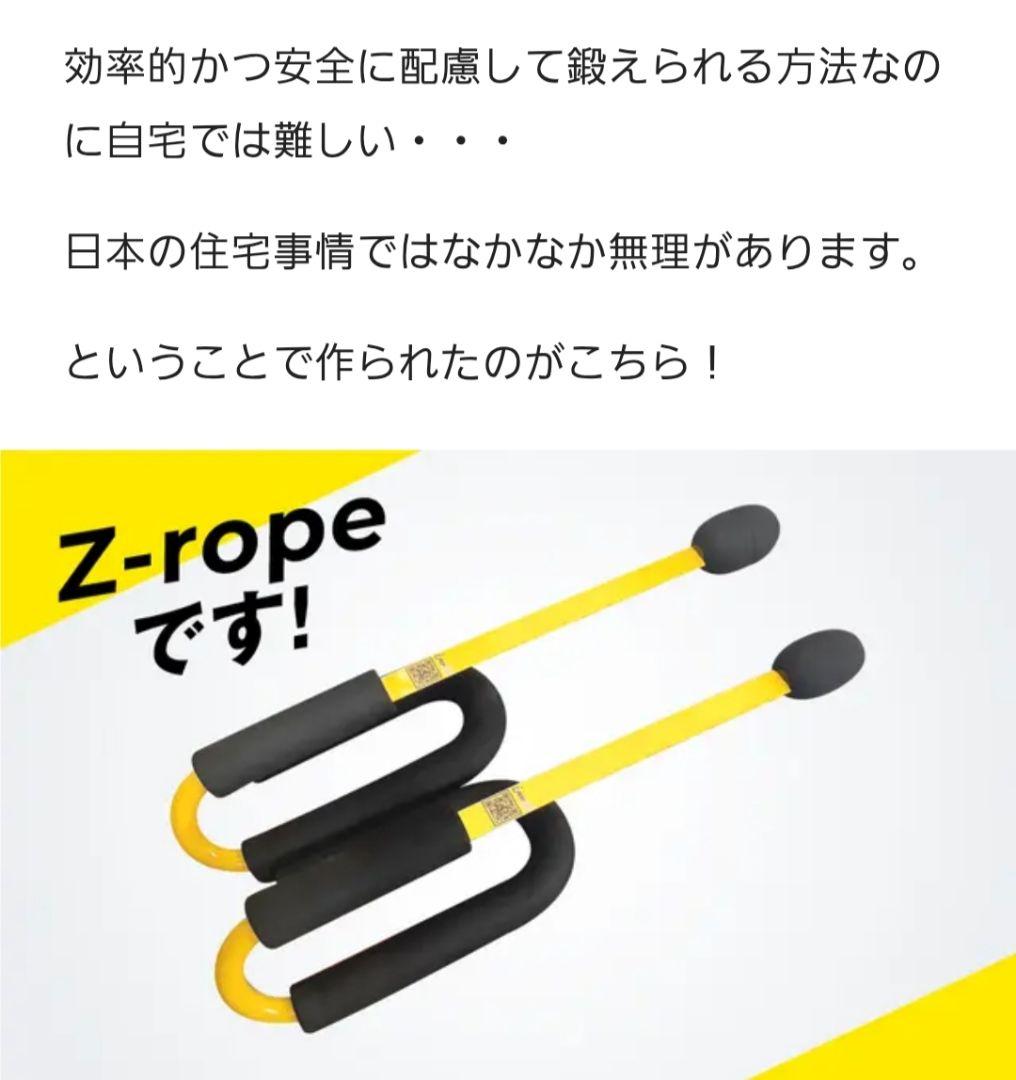 持って振るだけ！短時間で全身トレーニング Z-rope Ver.2　プロ