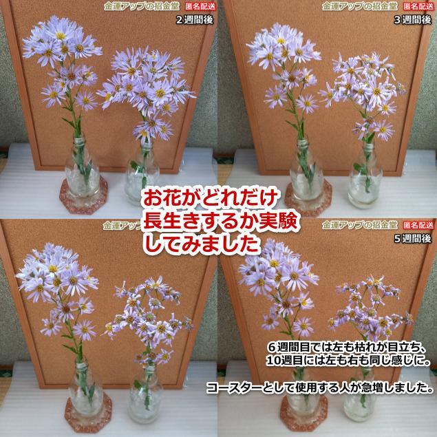 『お金の恩返し　金運風水八角形オルゴナイト浄化用プレート』金運アップ置物　428