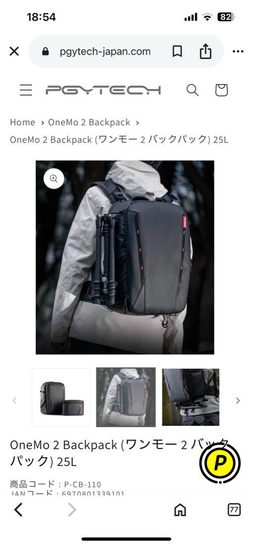 2 Backpack