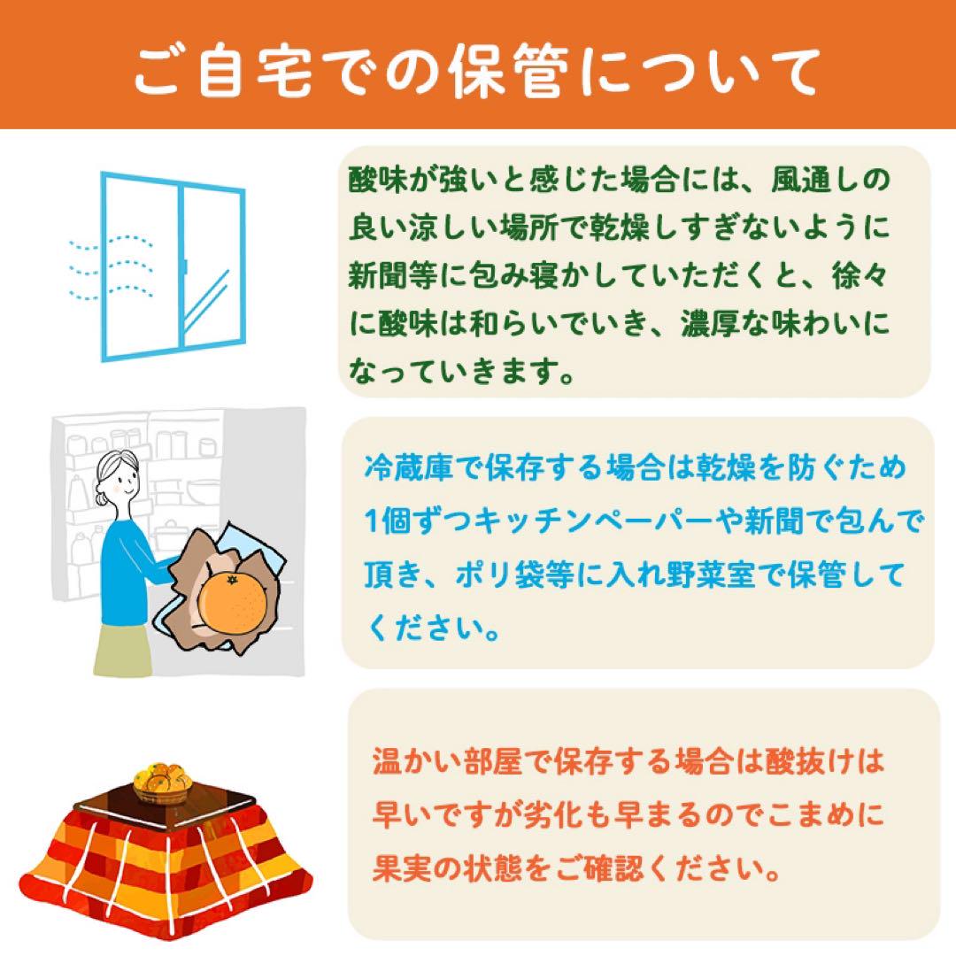 【せとか】10kg厳選Mサイズ　美品A品B品混　家庭用訳あり　愛媛柑橘みかん