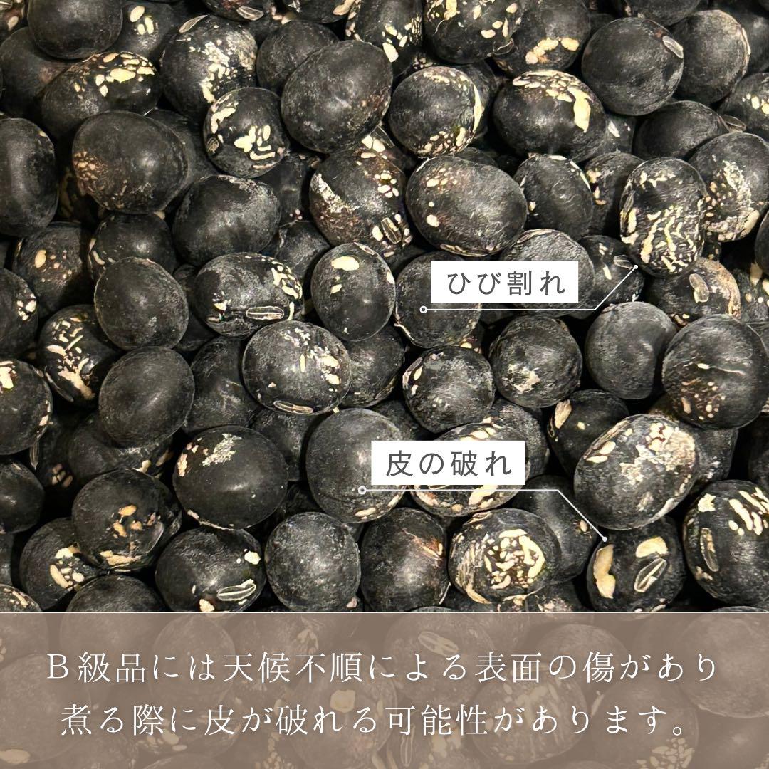 【訳あり】 兵庫県丹波篠山産 丹波黒豆 5kg 令和６年産